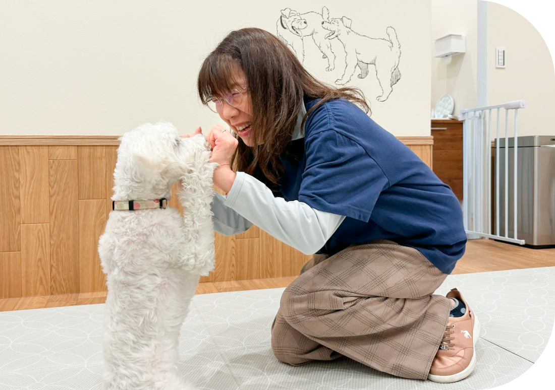 愛犬と触れ合うスタッフ