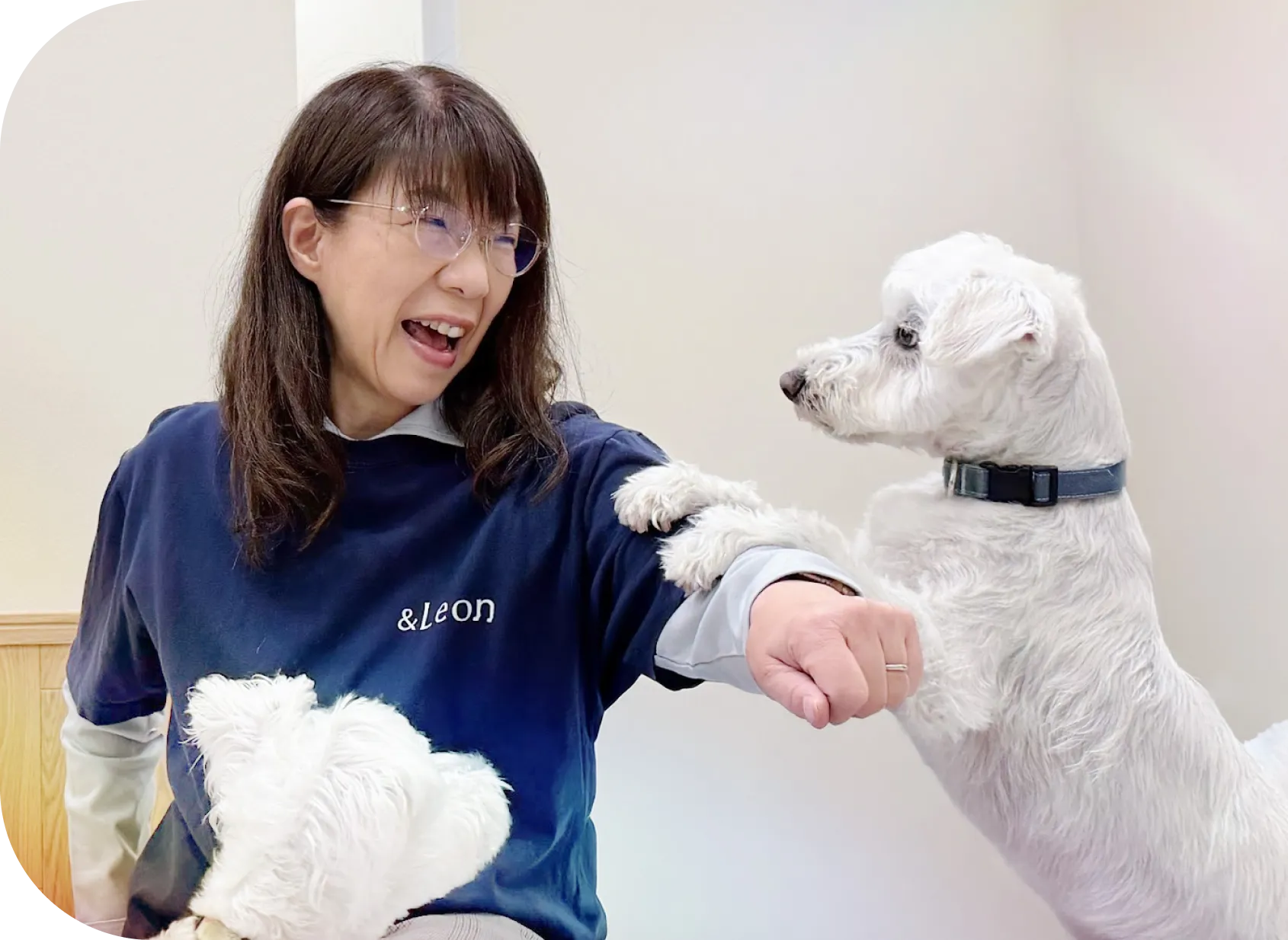 トレーナーと愛犬がふれあう様子