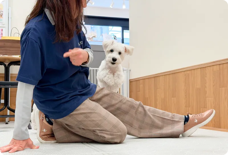プロのトレーナーによるパーソナルトレーニングの様子