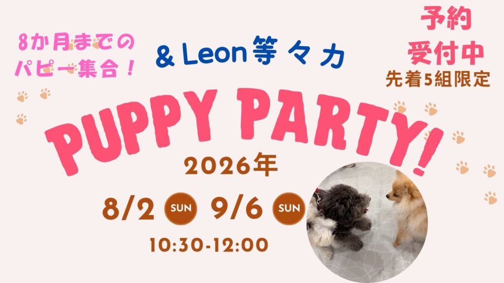 【8/2・9/6開催】生後8ヶ月までのワンちゃん対象｜  パピーパーティ予約受付中