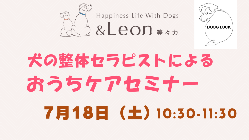 【7/18(土)開催】犬の整体セラピストによる おうちケアセミナー｜愛犬のための簡単マッサージ講座