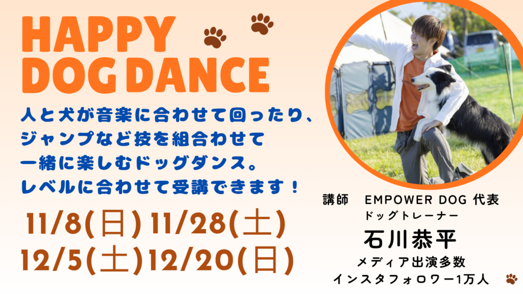 【11/8、11/28、12/5、12/20開催】Happy DogDance｜ビギナー＆STEPⅡクラス 参加受付中